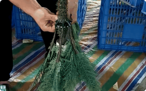 Fasten the fixed metal buckle