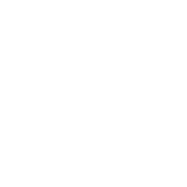 Professional Certifications