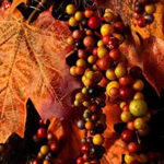 Autumn Harvest Spring decoration