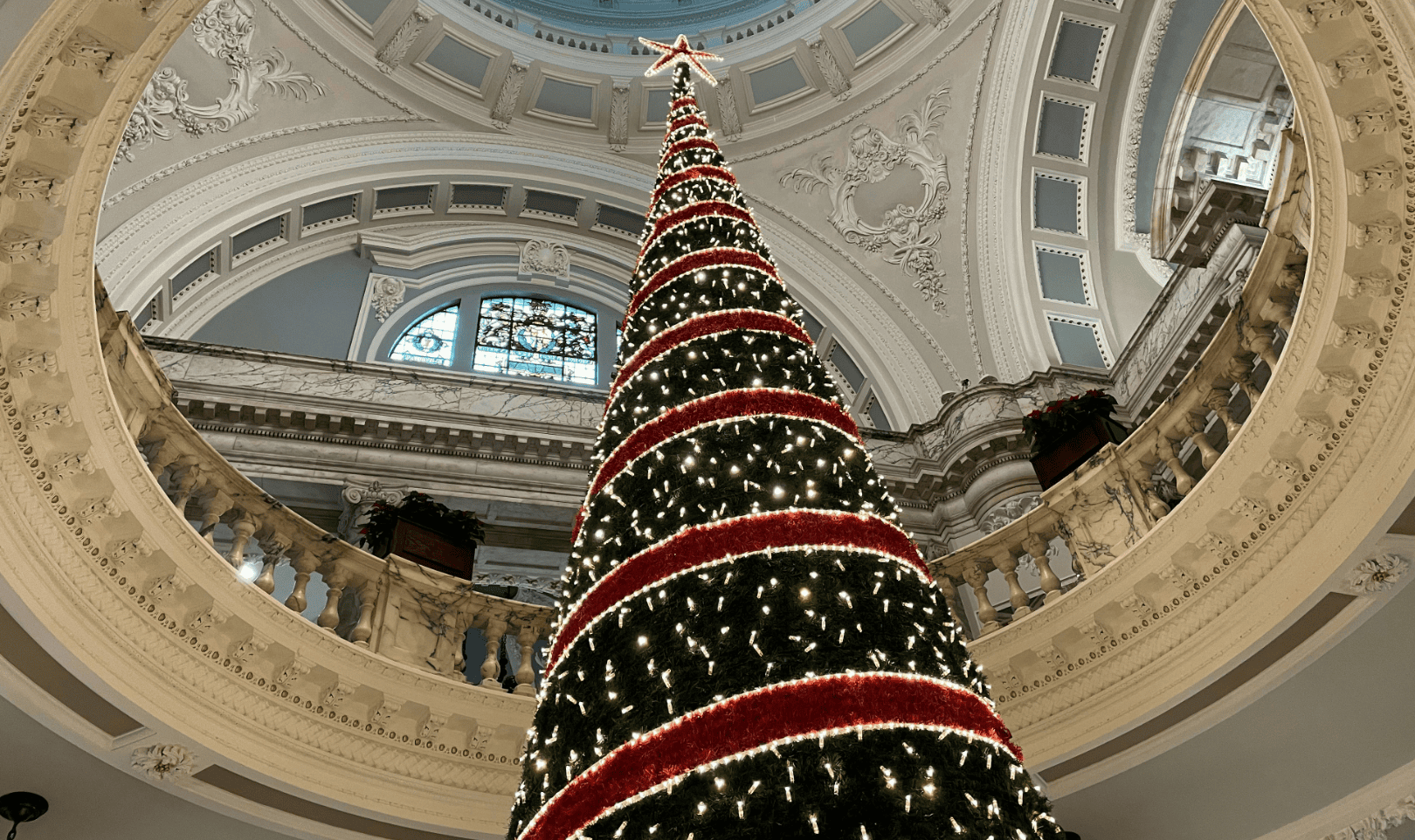 Artificial Christmas Trees